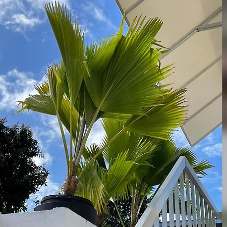 Appartement Mar Baltico à San Juan Extérieur photo