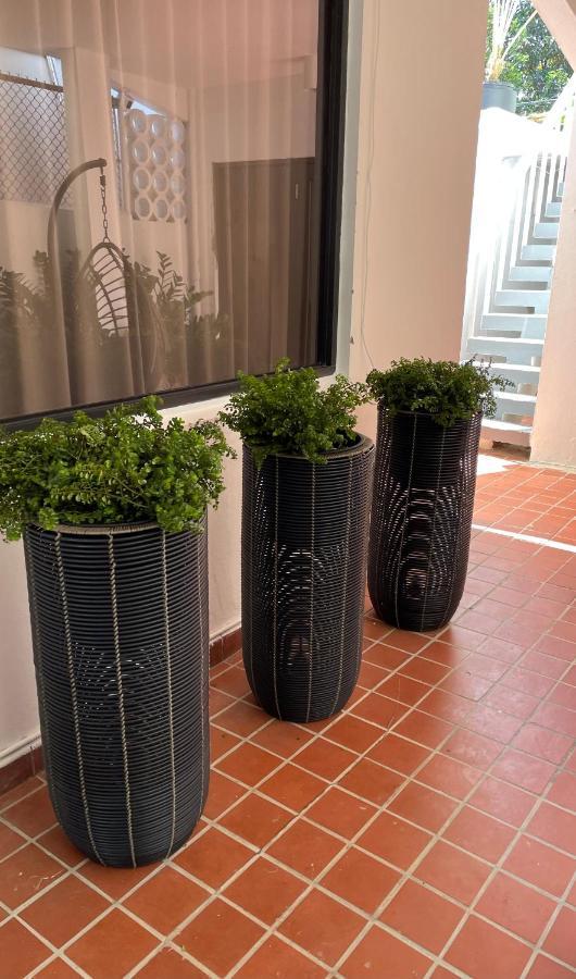 Appartement Mar Baltico à San Juan Extérieur photo